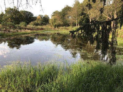 Holiday house Morzeck - Environment photo 33