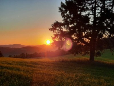 Holiday house Morzeck - Environment photo 34