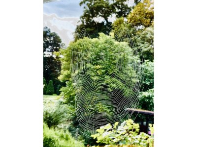 Holiday house Morzeck - Environment photo 35