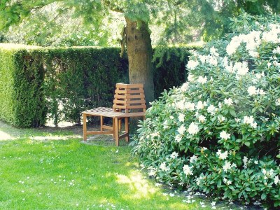 Holiday apartment Klönhus - Outdoor photo 8