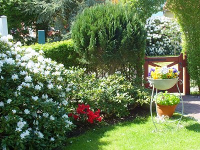 Holiday apartment Klönhus - Outdoor photo 9