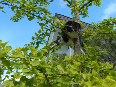 Holiday apartment Klönhus - Outdoor photo 11