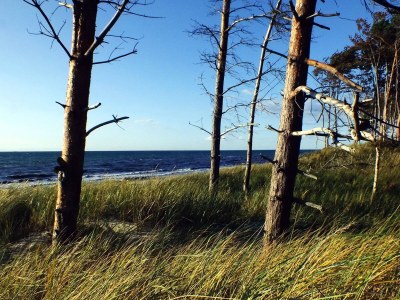 Holiday apartment Klönhus - Environment photo 30