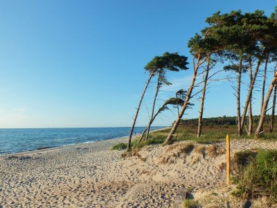 Holiday apartment Klönhus - Environment photo 31