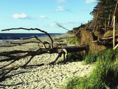 Holiday apartment Klönhus - Environment photo 32