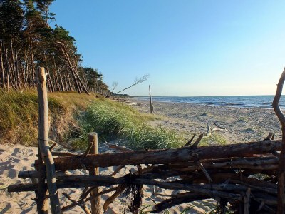 Holiday apartment Klönhus - Environment photo 33