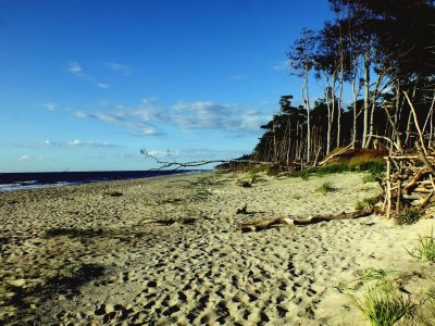 Holiday apartment Klönhus - Environment photo 34