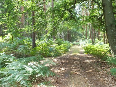 Holiday apartment Klönhus - Environment photo 38