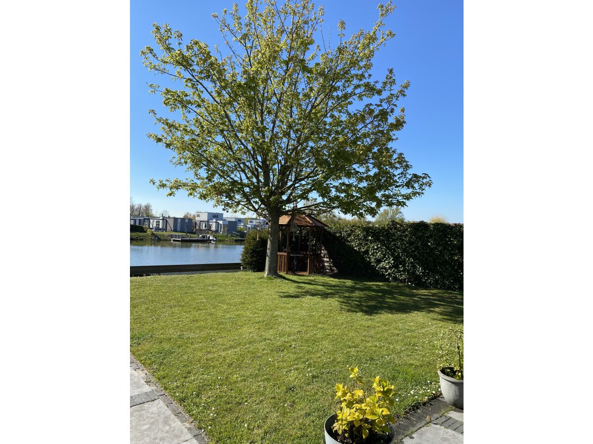 Holiday house Riverhouse Breskens - Outdoor photo 5