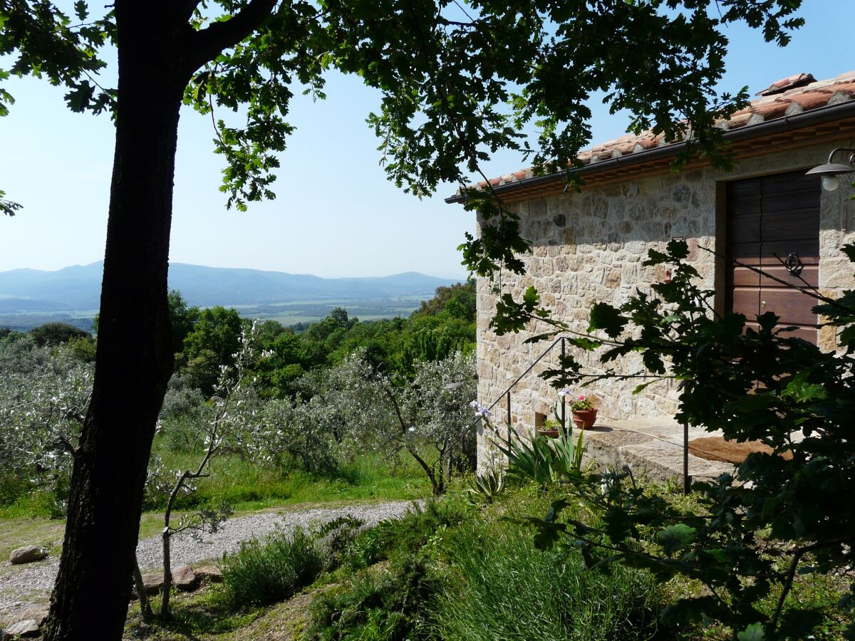 Holiday house Casa Upupa - Podere Usignolo - Outdoor photo 4