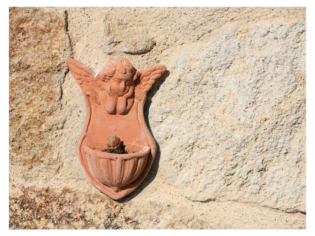 Holiday house Casa Upupa - Podere Usignolo - Outdoor photo 5