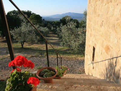 Holiday house Casa Upupa - Podere Usignolo - Outdoor photo 2