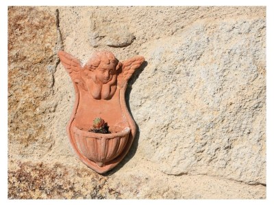 Holiday house Casa Upupa - Podere Usignolo - Outdoor photo 5