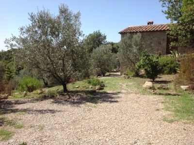 Holiday house Casa Upupa - Podere Usignolo - Outdoor photo 6