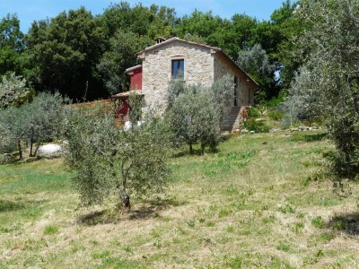 Holiday house Casa Upupa - Podere Usignolo - Outdoor photo 8