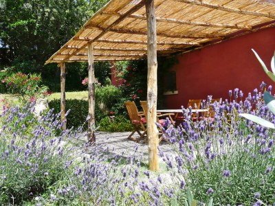 Holiday house Casa Upupa - Podere Usignolo - Outdoor photo 9