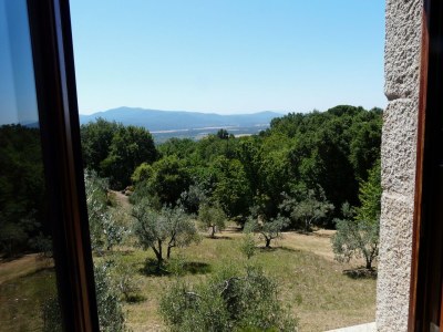 Holiday house Casa Upupa - Podere Usignolo - Outdoor photo 10