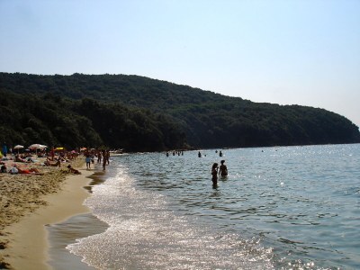 Holiday house Casa Upupa - Podere Usignolo - Environment photo 25