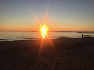 Holiday house Casa Upupa - Podere Usignolo - Environment photo 27