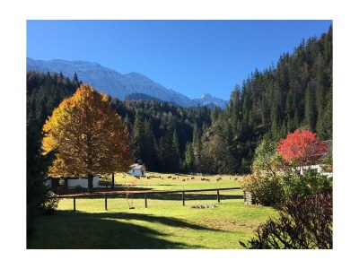 Holiday apartment Suite Wiesmahd - Environment photo 40