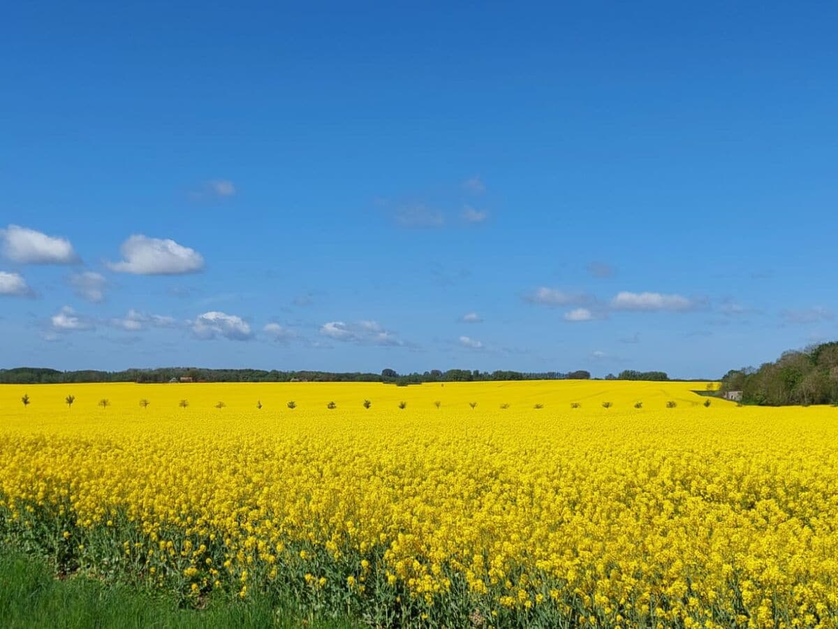Holiday house Reethaus Hannes on the island of Rügen - Outdoor photo 2
