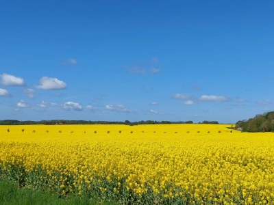 Holiday house Reethaus Hannes on the island of Rügen - Outdoor photo 2