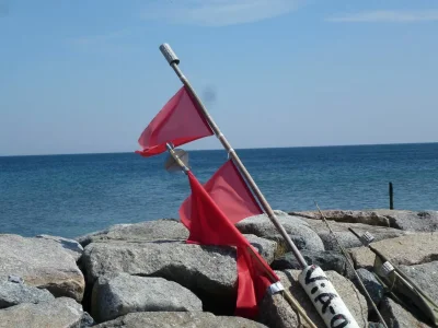 Holiday house Reethaus Hannes on the island of Rügen - Environment photo 21
