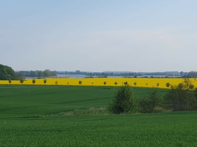 Holiday house Reethaus Hannes on the island of Rügen - Environment photo 27