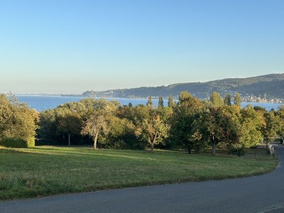 Holiday apartment Studio Weber on Lake Constance - Environment photo 11