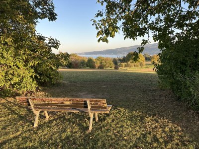 Holiday apartment Studio Weber on Lake Constance - Environment photo 12