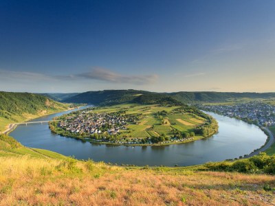Holiday apartment Goldgrube - House Moselblick Gerd-Eugen Schmidt - Environment photo 7
