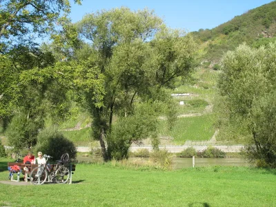 Holiday apartment Goldgrube - House Moselblick Gerd-Eugen Schmidt - Environment photo 9