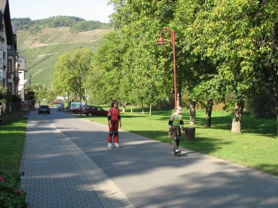 Holiday apartment Goldgrube - House Moselblick Gerd-Eugen Schmidt - Environment photo 10
