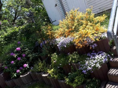 Holiday apartment Ferienwohnung Blaue Nole - Outdoor photo 5