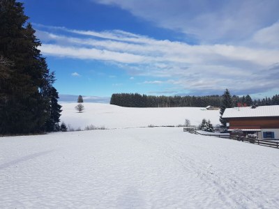 Holiday house Casa Cubana - Environment photo 29