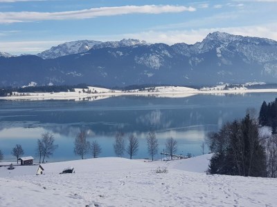 Holiday house Casa Cubana - Environment photo 33