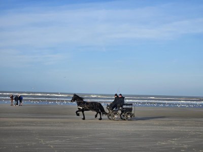 Holiday apartment StrandlÃ¤ufer 37 - Environment photo 16