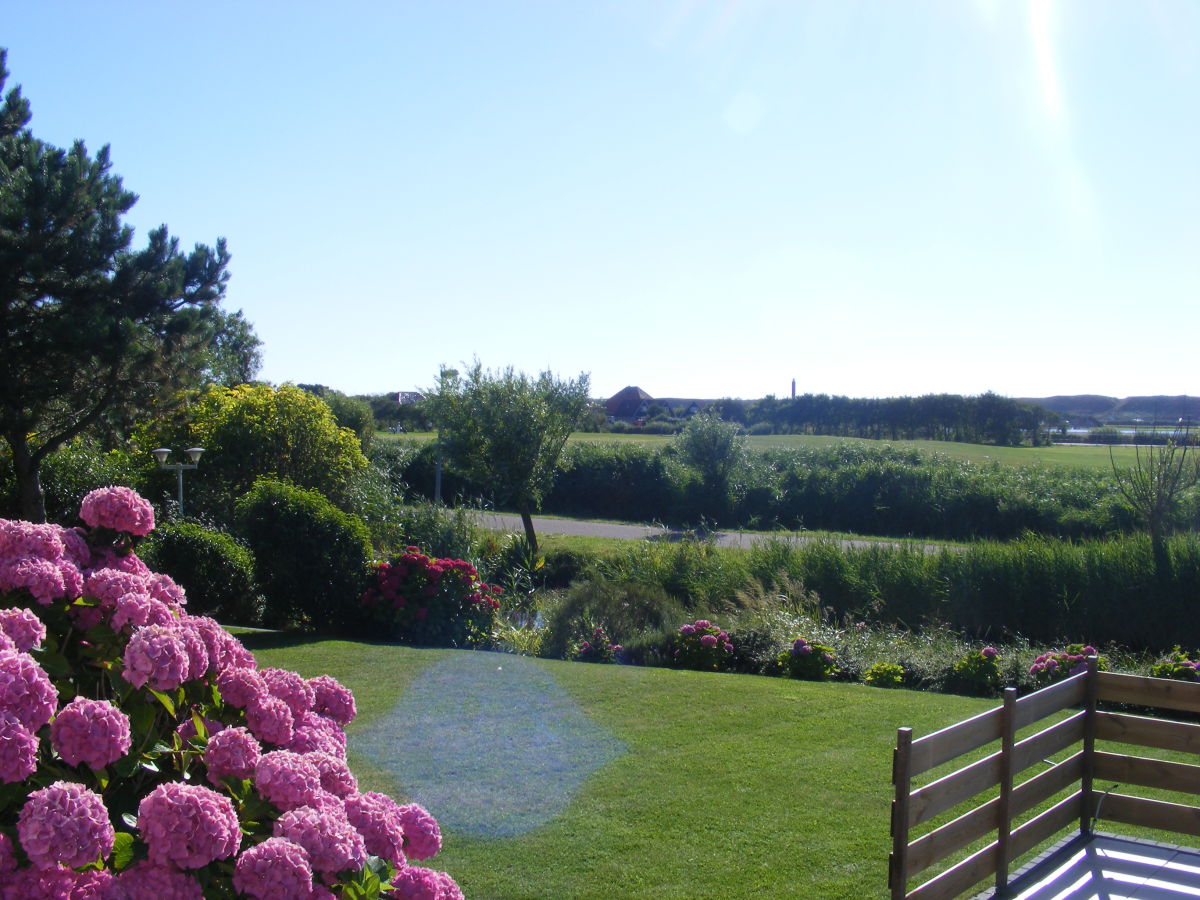 Holiday apartment Het Zwanennest - Outdoor photo 5