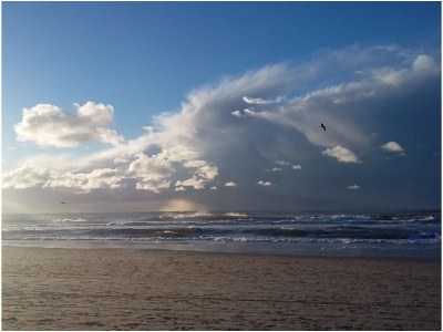 Holiday apartment Het Zwanennest - Environment photo 22