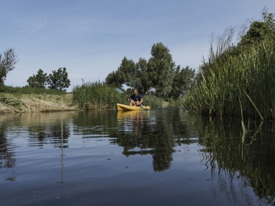 Holiday apartment Het Zwanennest - Environment photo 30
