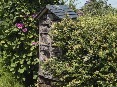 Holiday apartment Het Zwanennest - Environment photo 31