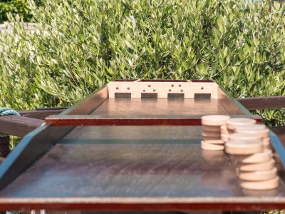 Holiday apartment Het Zwanennest - Environment photo 34