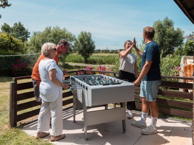 Holiday apartment Het Zwanennest - Environment photo 36