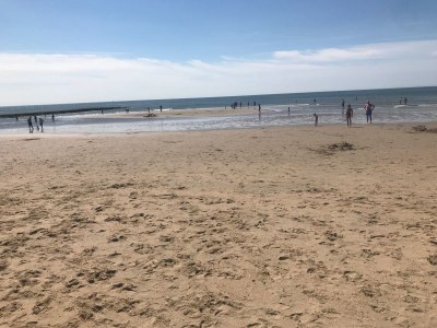 Holiday apartment Het Zwanennest - Environment photo 38