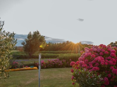 Holiday apartment Het Zwanennest - Environment photo 41