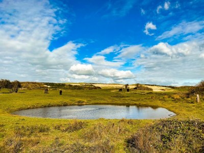 Holiday house Rural Holiday Home OK32 - Environment photo 29