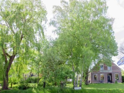 Holiday house Holiday house Zonnemaire - ZE255 - Environment photo 18