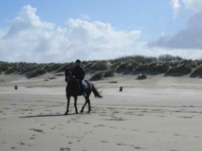 Holiday house Holiday house Zonnemaire - ZE255 - Environment photo 26