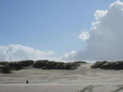 Holiday house Holiday house Zonnemaire - ZE255 - Environment photo 27