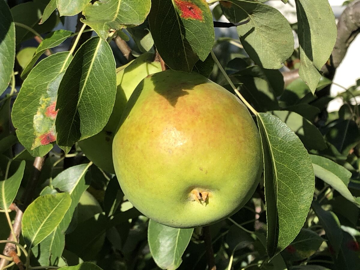 Holiday apartment Wohlfühlzeit - Outdoor photo 5